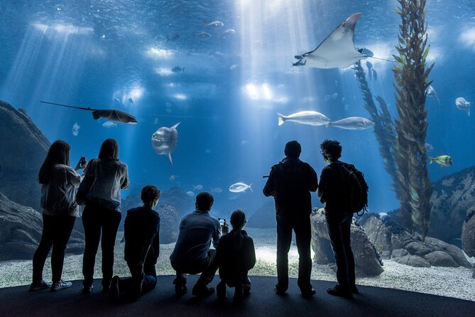 Lisbon Oceanario: Aquarium Entrance Ticket - Key takeaways