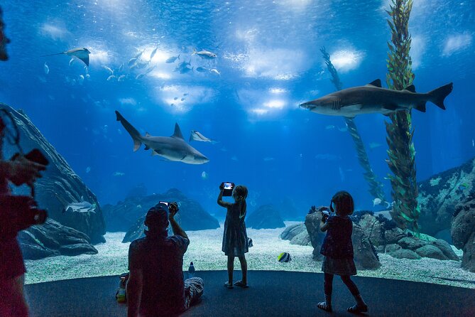 Lisbon Oceanario: Aquarium Entrance Ticket - Getting In Smoothly at Parque das Nacoes Waterfront