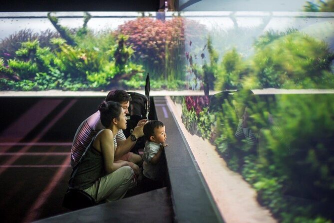 Lisbon Oceanario: Aquarium Entrance Ticket - Forets Underwater by Takashi Amano: The Plants-First Exhibit