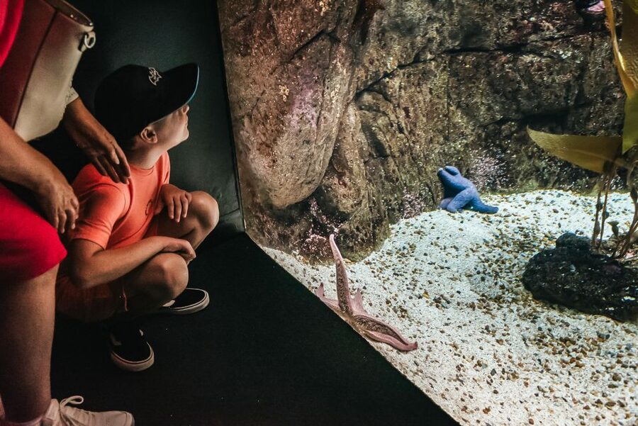 Lisbon: Oceanário de Lisboa Entrance Ticket - Planning your route inside: how to get the most in 1 day