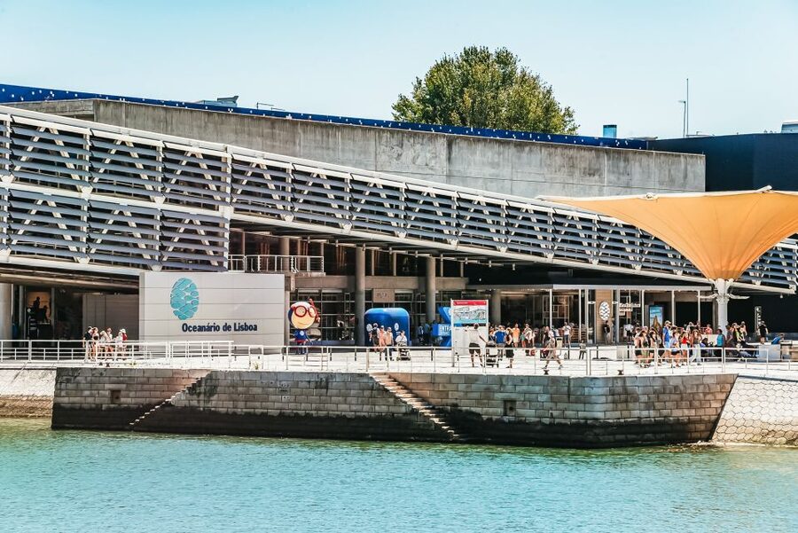 Lisbon: Oceanário de Lisboa Entrance Ticket - The underwater forest and the slower exhibits