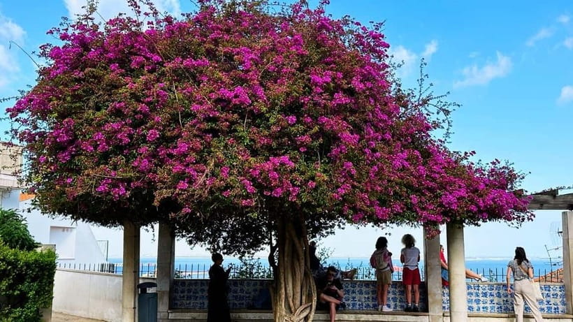 Lisbon: Old Town Tuk-Tuk Tour - Key points worth knowing