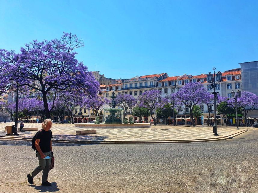 Lisbon: Old Town TukTuk Tour and Scenic Viewpoints in Alfama - Alfama lanes: Pantheon of Santa Engracia, flea market vibes, and the real feel of the hill