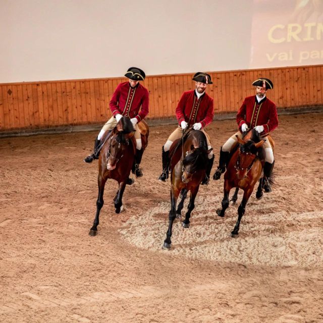 Lisbon: Portuguese Riding School Trainig with Lusitano Horse - Key things to know before you go