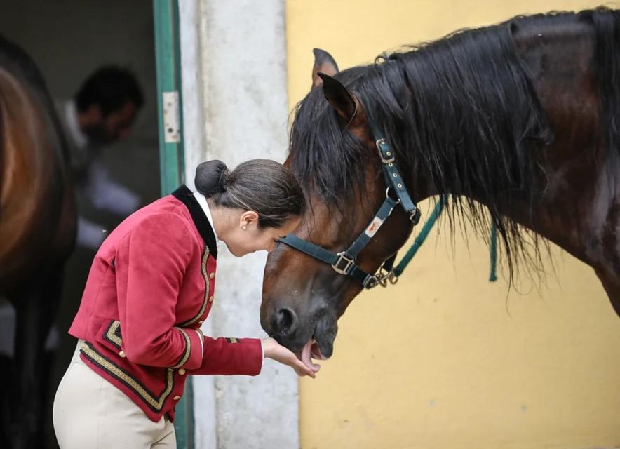 Lisbon: Portuguese Riding School Trainig with Lusitano Horse - Practical tips: tickets, phones, headphones, and photo rules