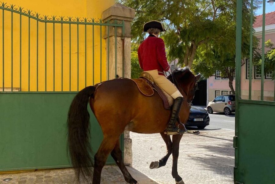 Lisbon: Portuguese Riding School Trainig with Lusitano Horse - Entering Henrique Calado Riding Ring, Lisbon style