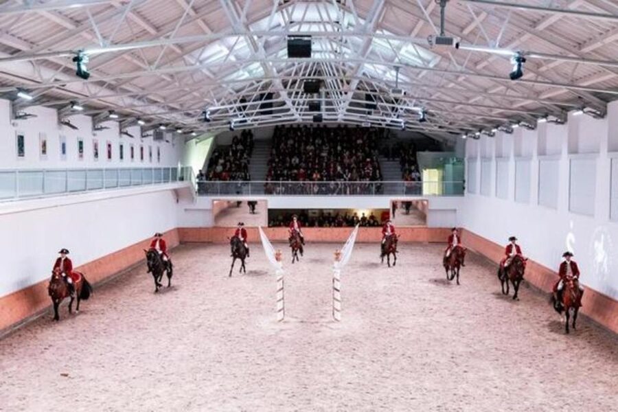 Lisbon: Portuguese Riding School Trainig with Lusitano Horse - Rehearsals of complex Equestrian Art exercises in period settings