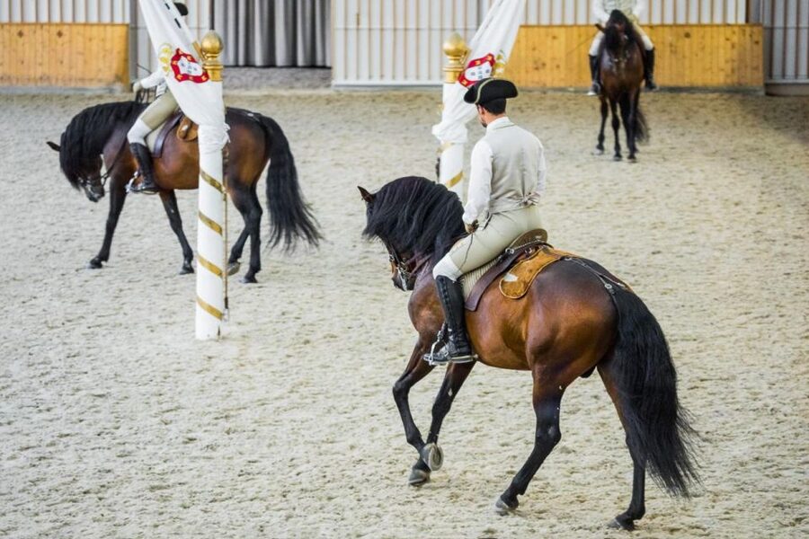 Lisbon: Portuguese Riding School Trainig with Lusitano Horse - The audio guide: what it helps you catch