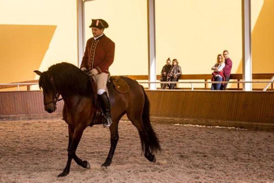 Lisbon: Portuguese Riding School Trainig with Lusitano Horse - Cost and value: how $17 holds up for Lisbon