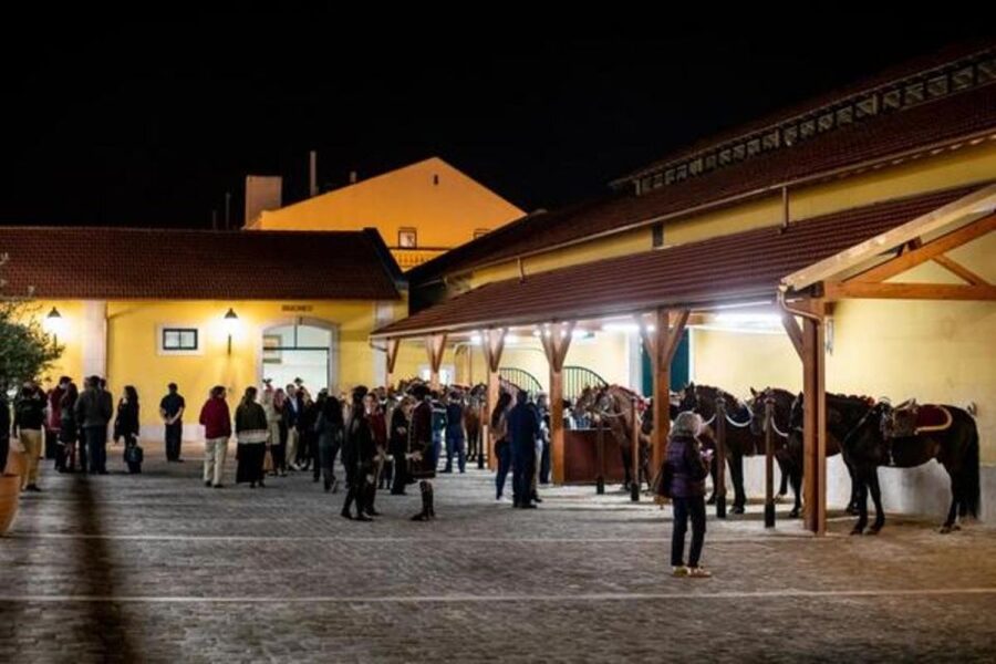 Lisbon: Portuguese Riding School Trainig with Lusitano Horse - Timing: 10am to 1pm, and why 11am to 12:30 works best