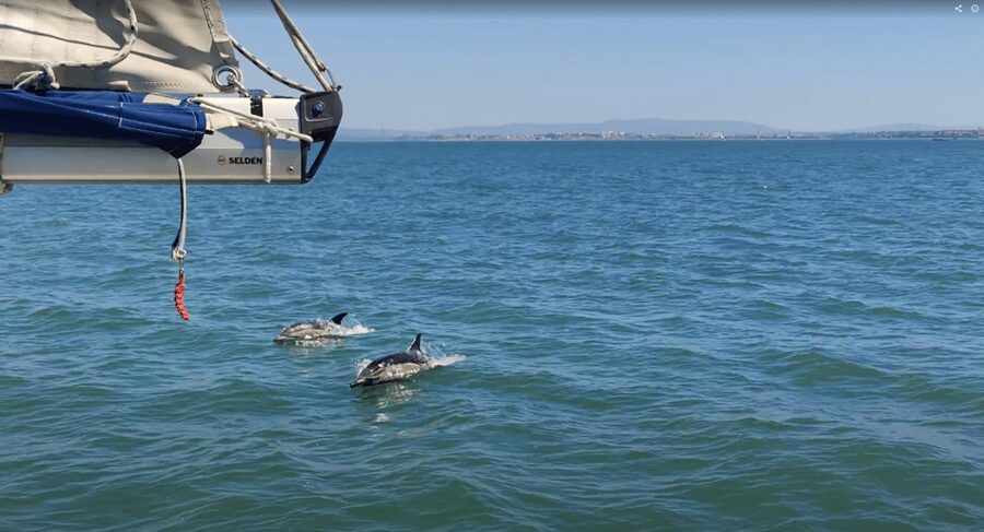 Lisbon: Private Boutique Boat Tour – Sail in Style - Alfama and the North-Center Landmarks, Lisbon’s Most Romantic Areas