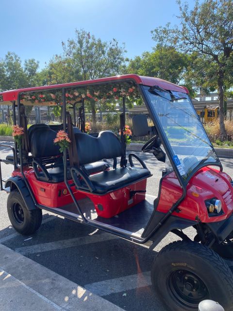 Lisbon: Private City Sightseeing Tour by Tuk-Tuk - The downtown kickoff near City Hall, Lisbon Cathedral, and river views