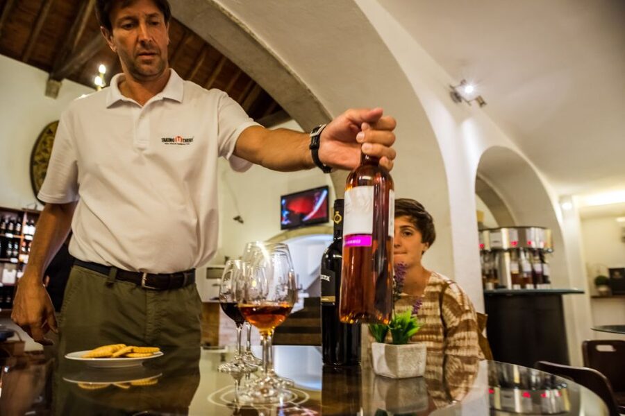 Lisbon Private Setúbal Region Wine Tasting Tour - Key highlights you should care about