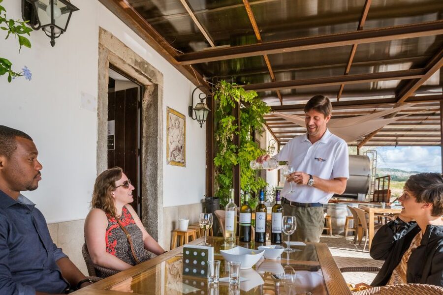 Lisbon Private Setúbal Region Wine Tasting Tour - Lisbon to Setúbal Wine Tasting, the real reason this works