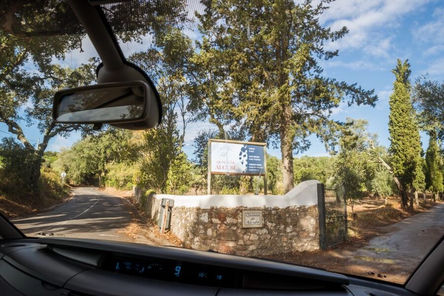 Lisbon Private Setúbal Region Wine Tasting Tour - José Maria da Fonseca, why the 1834 cellar stop is worth the time