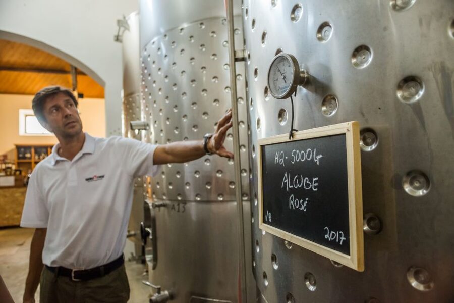 Lisbon Private Setúbal Region Wine Tasting Tour - Azeitão and Quinta do Alcube, where the agricultural side shows up