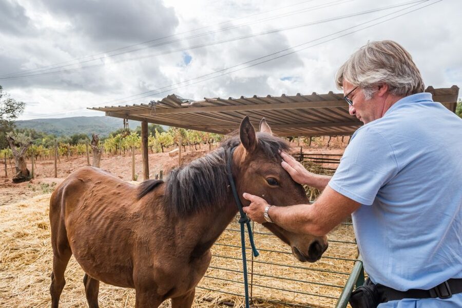 Lisbon Private Setúbal Region Wine Tasting Tour - Arrábida Natural Park views, and why weather can change your route