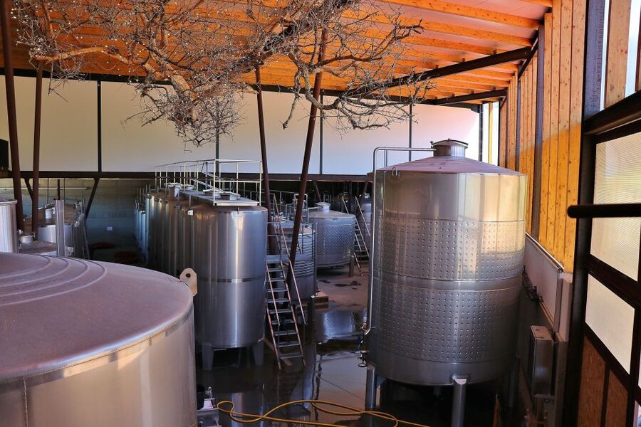 Lisbon Private Setúbal Region Wine Tasting Tour - Food pairings: cheese, chorizo, bread, and the Palmela lunch you will remember