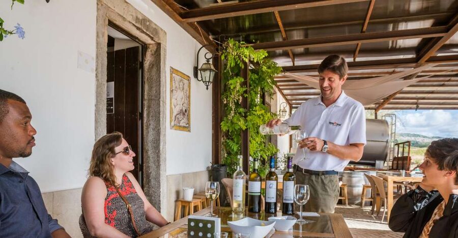 Lisbon Private Setúbal Region Wine Tasting Tour - Two tour options, so choose based on your appetite for wine or food