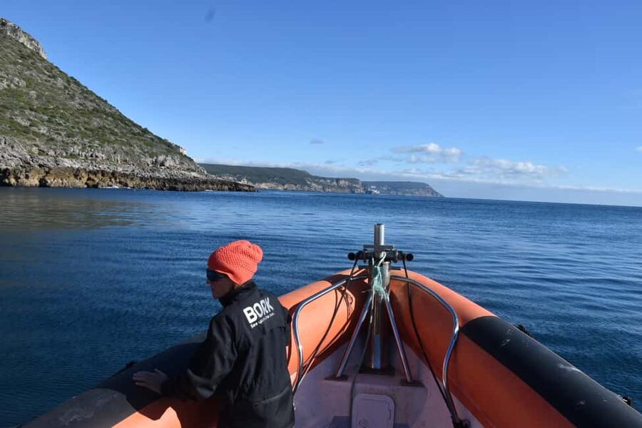 Lisbon: Sesimbra Kayak Discovery Experience - Back Toward Sesimbra Harbour: Finish Strong, No Rush Panic