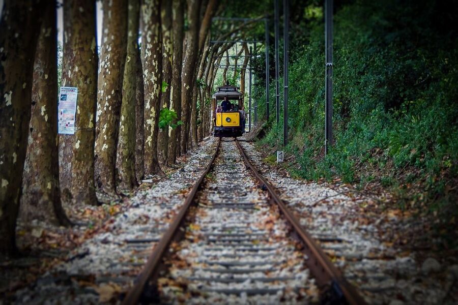 Lisbon, Sintra and Cascais: Full-Day Private Tour - Sintra Natural Park Breaks That Make the Day Feel Balanced