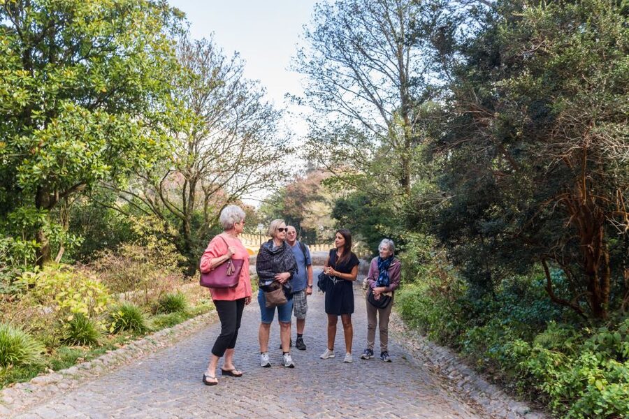 Lisbon: Sintra and Cascais Tour with Pena Palace Ticket - Driving the Sintra Hills: Scenic, but Also Faster Than You Think