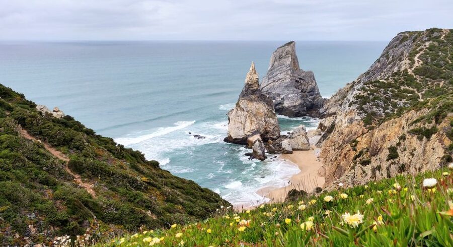 Lisbon: Sintra, Pena Palace, Quinta Regaleira, Cascais Tour - Key Highlights You’ll Care About