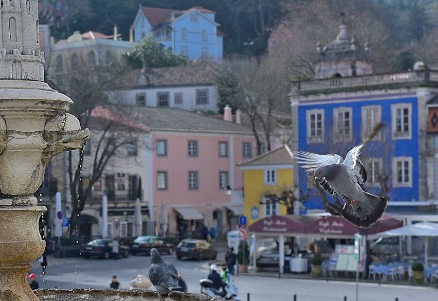 Lisbon: Sintra, Pena Palace, Quinta Regaleira, Cascais Tour - How the 8-Hour Day Trip Gets You Out of Lisbon Early