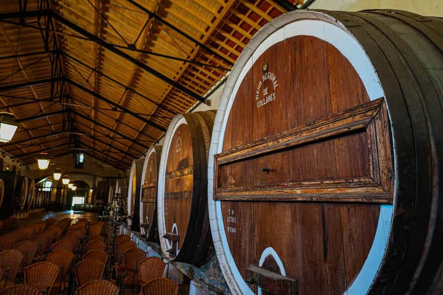 Lisbon: Sintra, Pena Palace & Wine Tasting Small-Group Tour - Price and value at about $93 per person