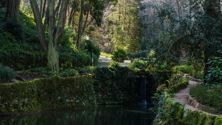 Lisbon: Sintra, Pena, Regaleira, Cabo Roca Coast & Cascais - The guides and drivers: why the experience often lands at 4.8