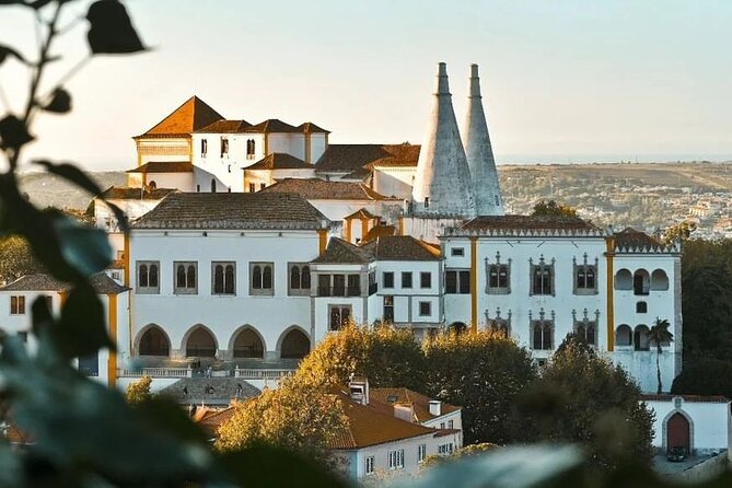 Lisbon: Sintra Private Day Trip with Pena Palace & Wine Tasting - Adega Regional de Colares wine tasting with phylloxera-era logic