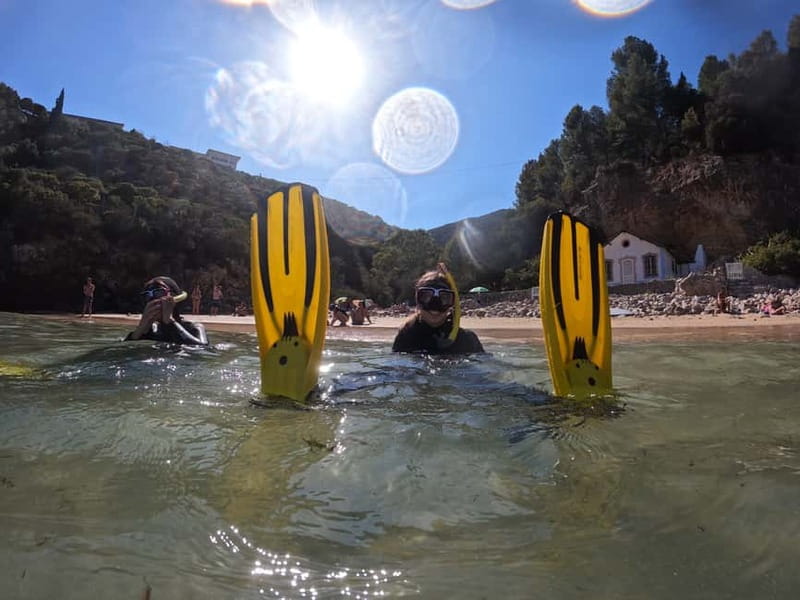 Lisbon: Snorkeling experience in Marine Reserve with photos - Key things I’d plan around