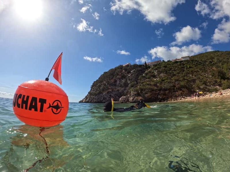 Lisbon: Snorkeling experience in Marine Reserve with photos - Gear and safety: what you get, and what you should bring
