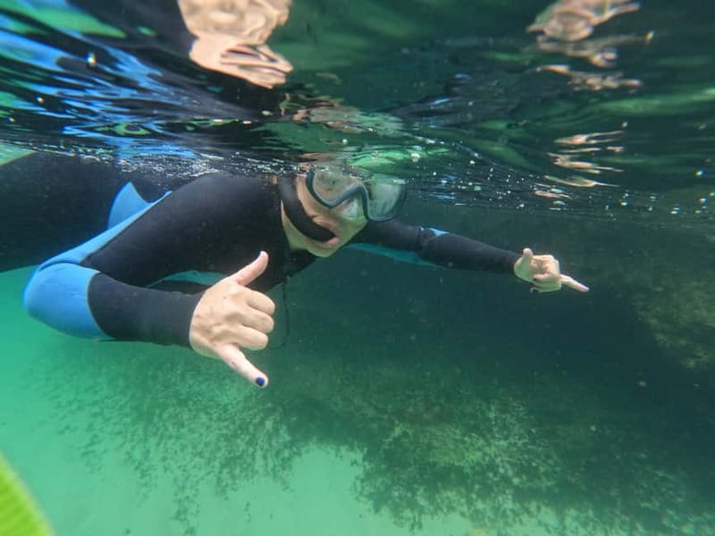 Lisbon: Snorkeling experience in Marine Reserve with photos - Snorkeling in calm conditions, with guidance that actually helps
