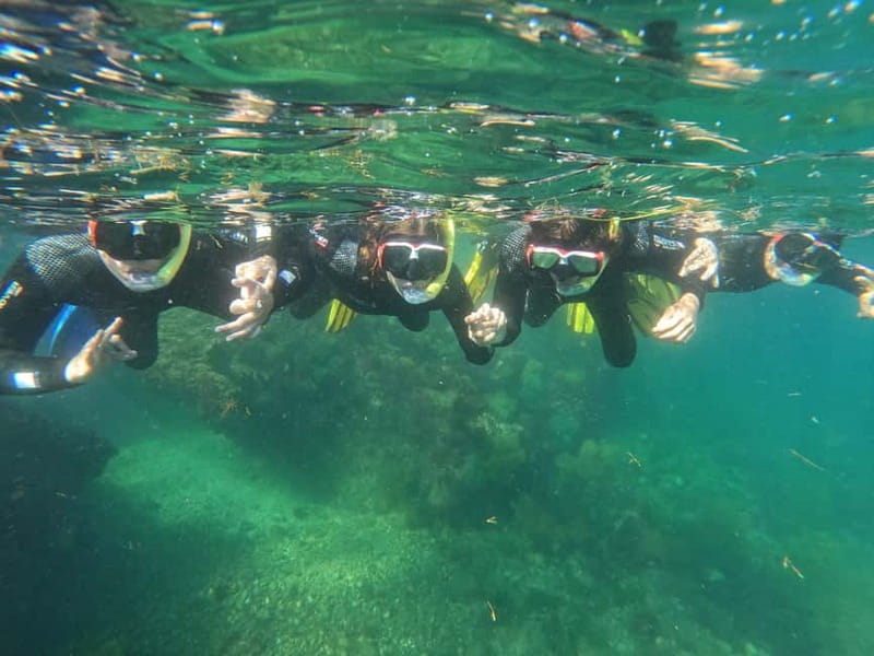 Lisbon: Snorkeling experience in Marine Reserve with photos - Price and value: why $53 can make sense here