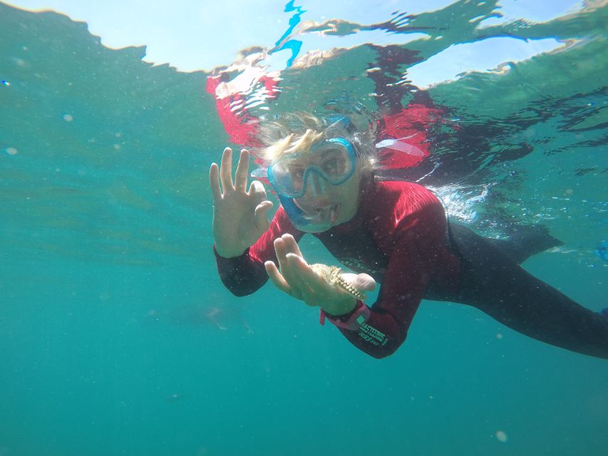 Lisbon: Snorkelling in Sesimbra/Arrábida Natural Park - Key things to know before you go