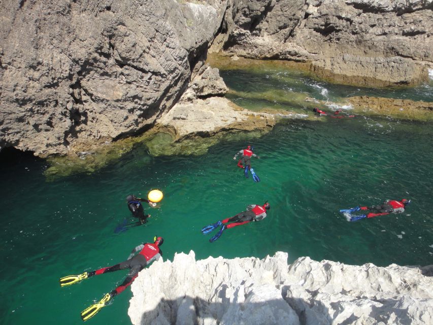 Lisbon: Snorkelling in Sesimbra/Arrábida Natural Park - Snorkeling in Prof. Luiz Saldanha Marine Park: what the water feels like