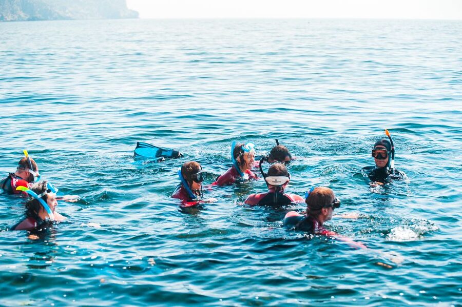 Lisbon: Snorkelling in Sesimbra/Arrábida Natural Park - What the guide actually does for you, not just what they say