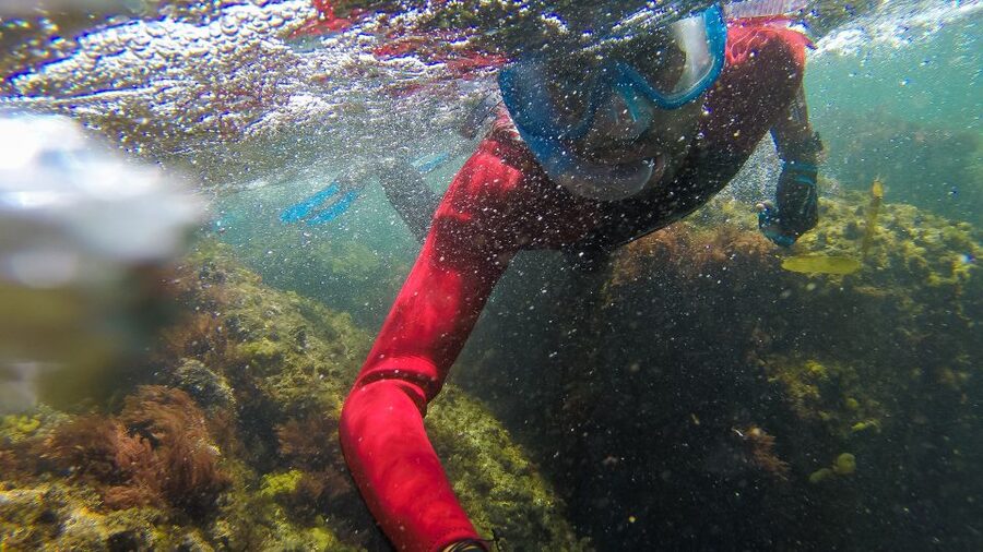 Lisbon: Snorkelling in Sesimbra/Arrábida Natural Park - Who this tour is best for (and who might want another plan)