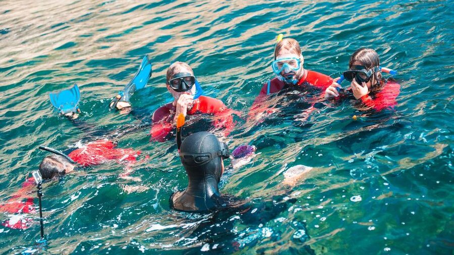 Lisbon: Snorkelling in Sesimbra/Arrábida Natural Park - Price and value: what you are really paying for