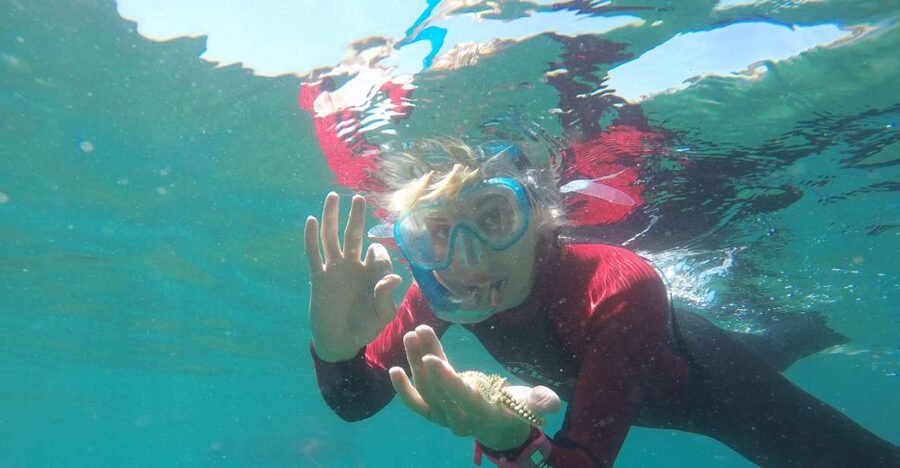 Lisbon: Snorkelling in Sesimbra/Arrábida Natural Park - Meeting near the diving centers, then getting fitted the right way
