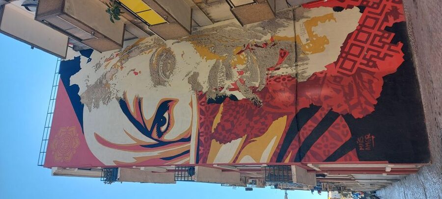 Lisbon Street Art Lovers Walk - Street artists you’ll recognize, and the techniques behind them