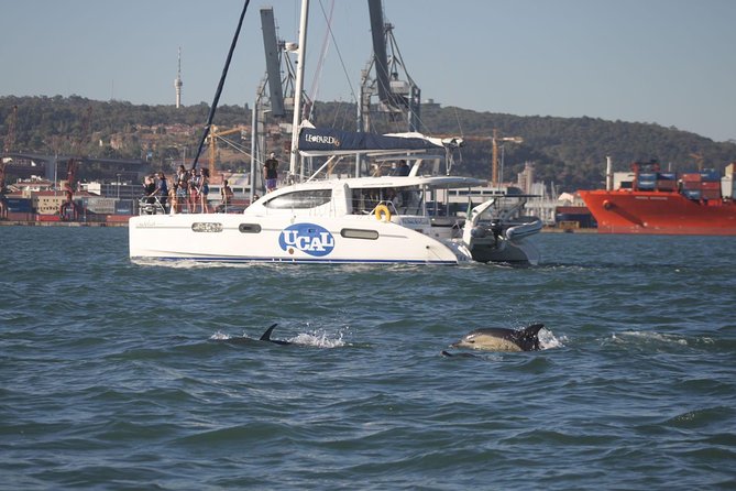Lisbon: Sunset Cruise With Drinks on Spacious Yacht - Drinks on us: what you get and how it changes the vibe