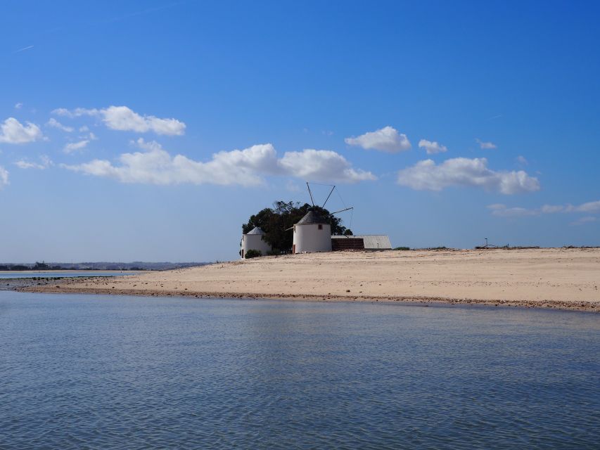 Lisbon: Tagus Estuary Nature Reserve Birdwatching Boat Tour - Key Things You’ll Want to Know Before You Go