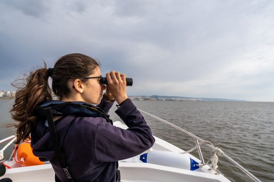 Lisbon: Tagus Estuary Nature Reserve Birdwatching Boat Tour - Mouchao da Povoa and the Vasco da Gama Bridge Pass-By