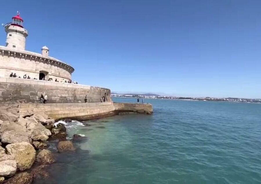 Lisbon: Tagus River Cruise to the Ocean & Dolphin Watching - Who This Cruise Fits Best (and Who Should Skip It)