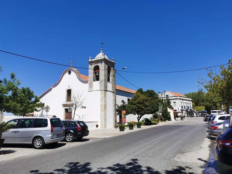 Lisbon to Wine Tasting Setubal, Two Cellars, Half Day Tour - Why Setúbal Works for a Lisbon Half-Day Wine Fix