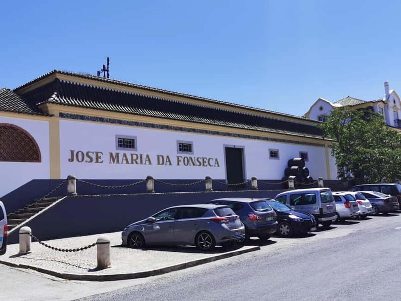 Lisbon to Wine Tasting Setubal, Two Cellars, Half Day Tour - Moscatel and More at Quinta da Bacalhôa