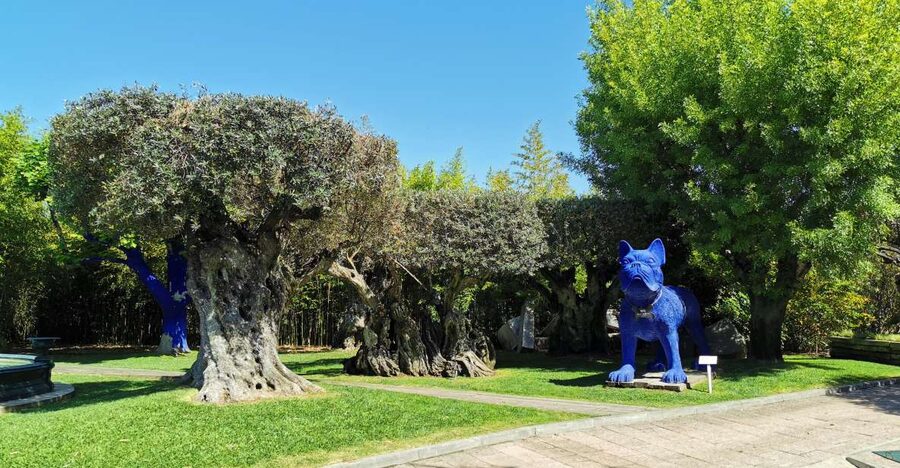 Lisbon to Wine Tasting Setubal, Two Cellars, Half Day Tour - Wine Tastings: What You’ll Actually Sip (and Why It Can Feel Small)