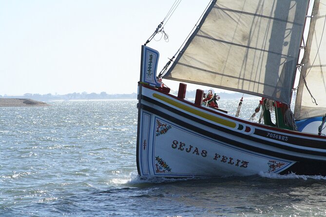 Lisbon Traditional Boats - Express Cruise - 45min - São Jorge Castle, Alfama, and how the guide points things out